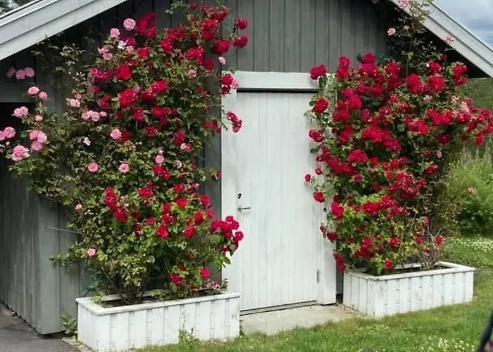 Ditt Feriehjem! בית נופש קריסטיאנסאנד